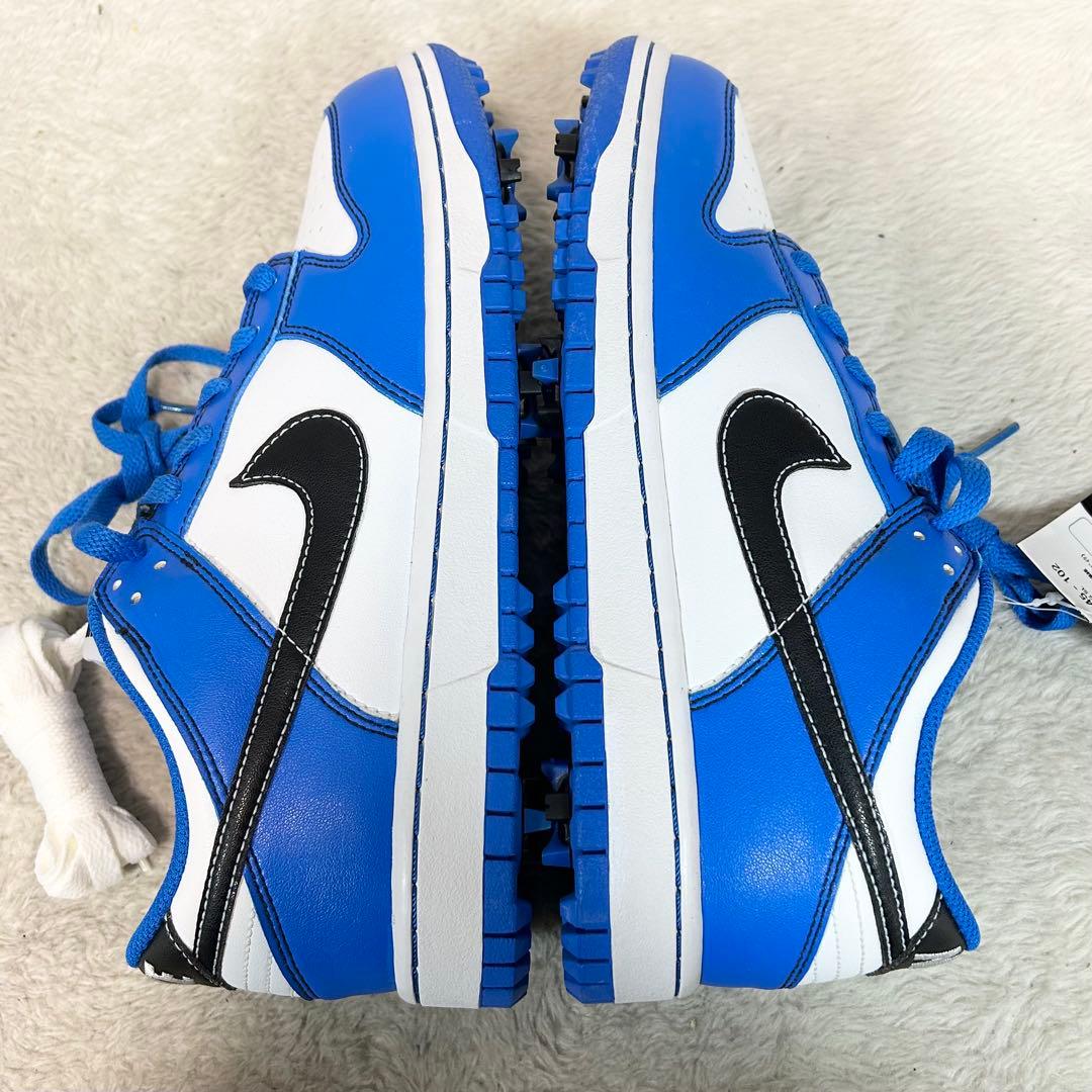 未使用❗️NIKE GOLF DUNK LOW NG SL ゴルフシューズ　25