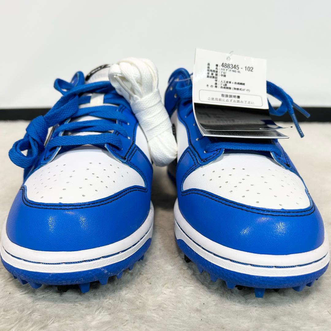 未使用❗️NIKE GOLF DUNK LOW NG SL ゴルフシューズ　25