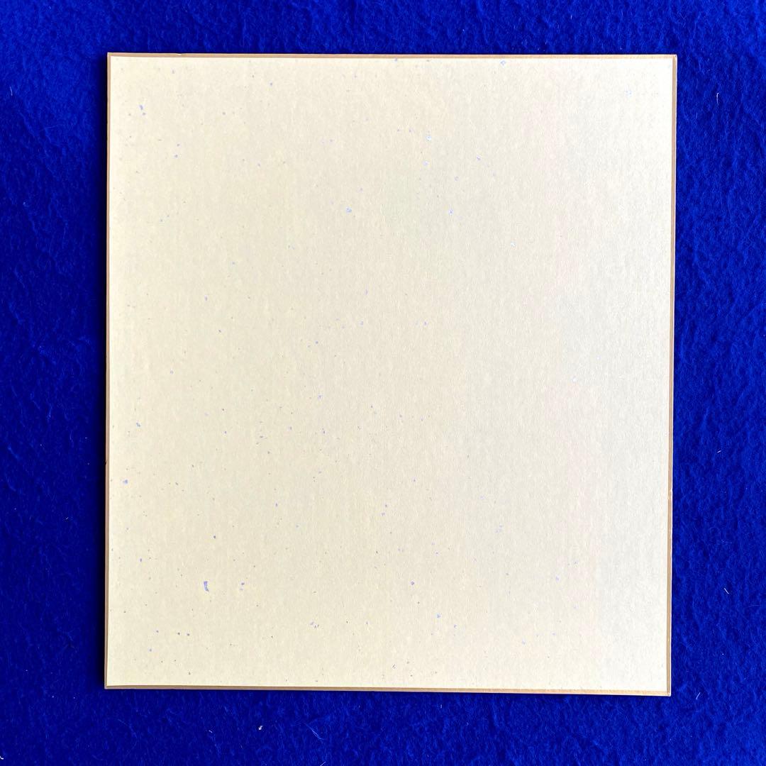 桐谷美玲　直筆サイン　色紙　フォト&スタイルブック『zukan』発売記念　写真付