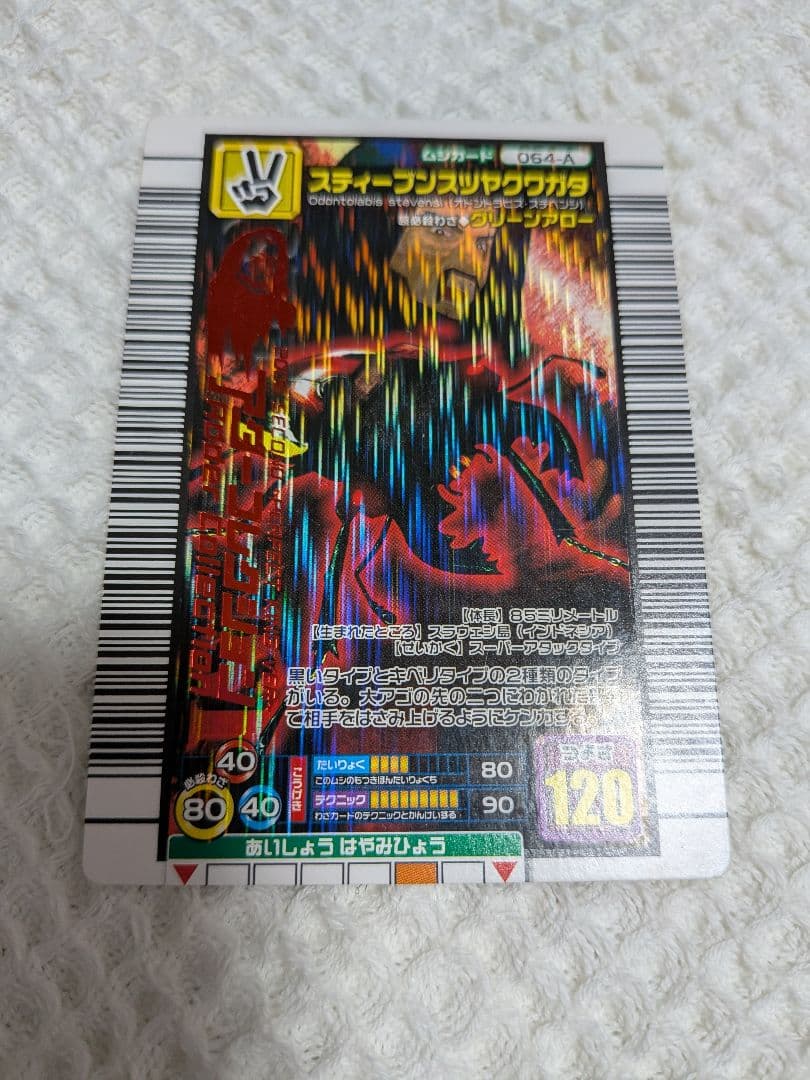 ファディ様確認用