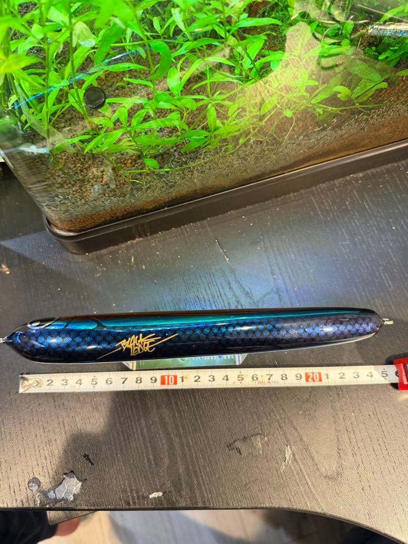 ARISE EDGE トップウォータールアー 約24cm 80g