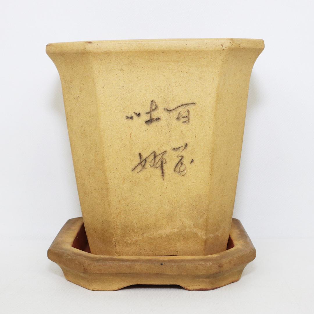 中国 唐物 古盆器 白泥釘彫絵梅花漢詩文