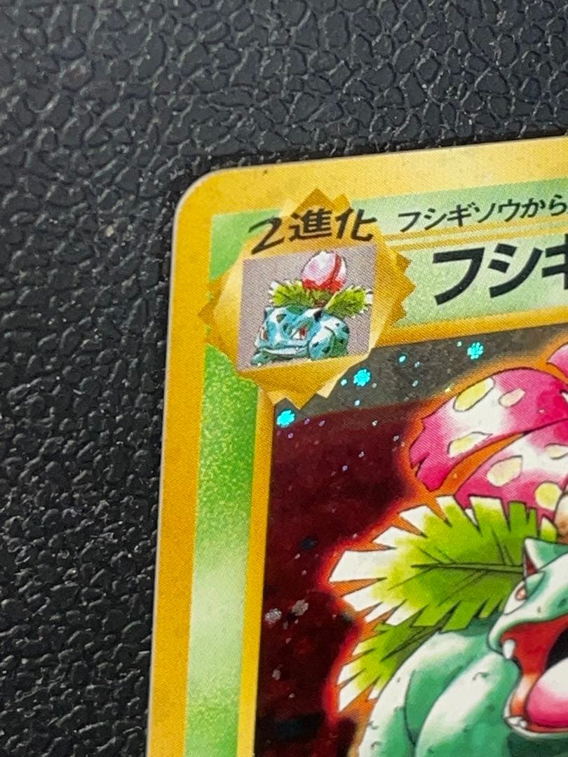 ポケモンカード 旧裏 フシギバナ　プロモ（イントロ）