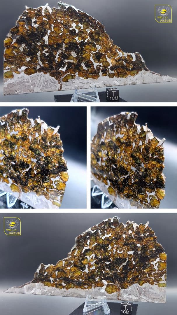 隕石 セイムチャン パラサイト 117.3g ⭐