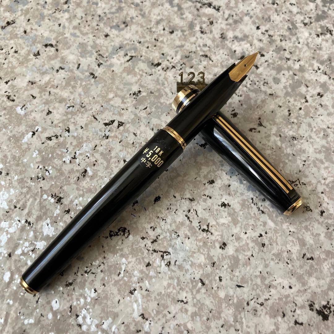 #123 オーバーホール済み 万年筆 PLATINUM プラチナ 18k