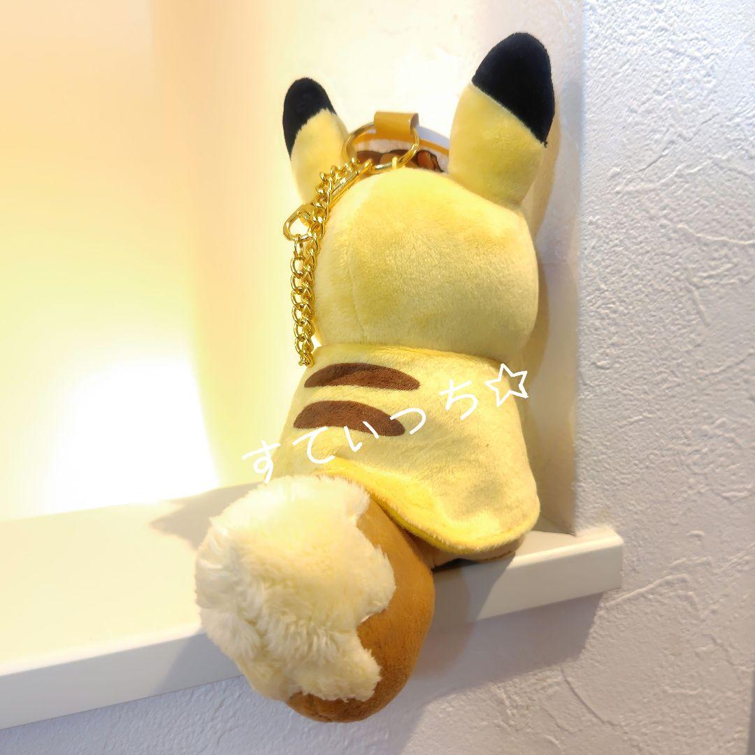 ポケモン ピカチュウのポンチョを着たイーブイ マスコット ピカチュウ ポンチョ