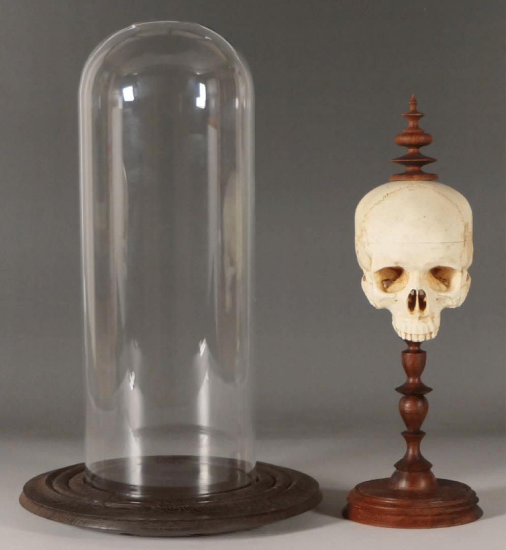 【ガラスドーム入り 頭蓋骨模型 】ゴシック ダークアカデミア ヴンダーカンマー