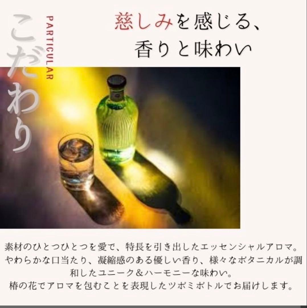 GOTOGIN the origin ゴトジン 五島つばき蒸溜所 3本