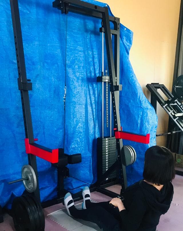 スマート・ラット100kg（右置き）パワーテック社ハーフラック WB-HR19用