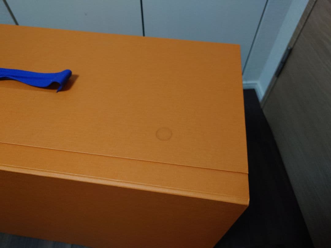 LOUIS VUITTON 箱　BOX ビッグ