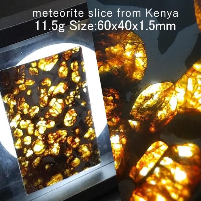 11.5g　パラサイト隕石　セリコ隕石　鉱物標本　隕石