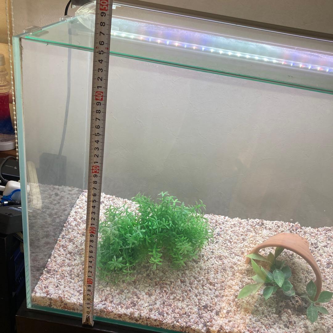 水槽セット　水槽台付き