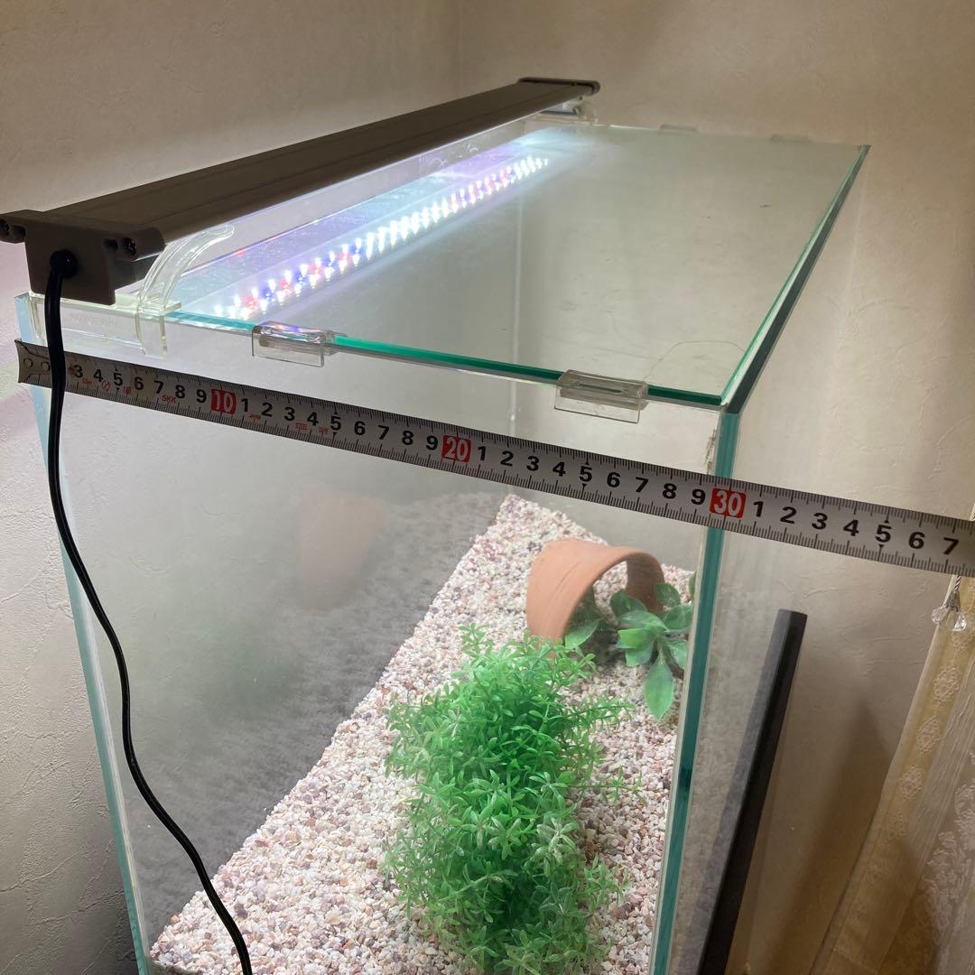 水槽セット　水槽台付き