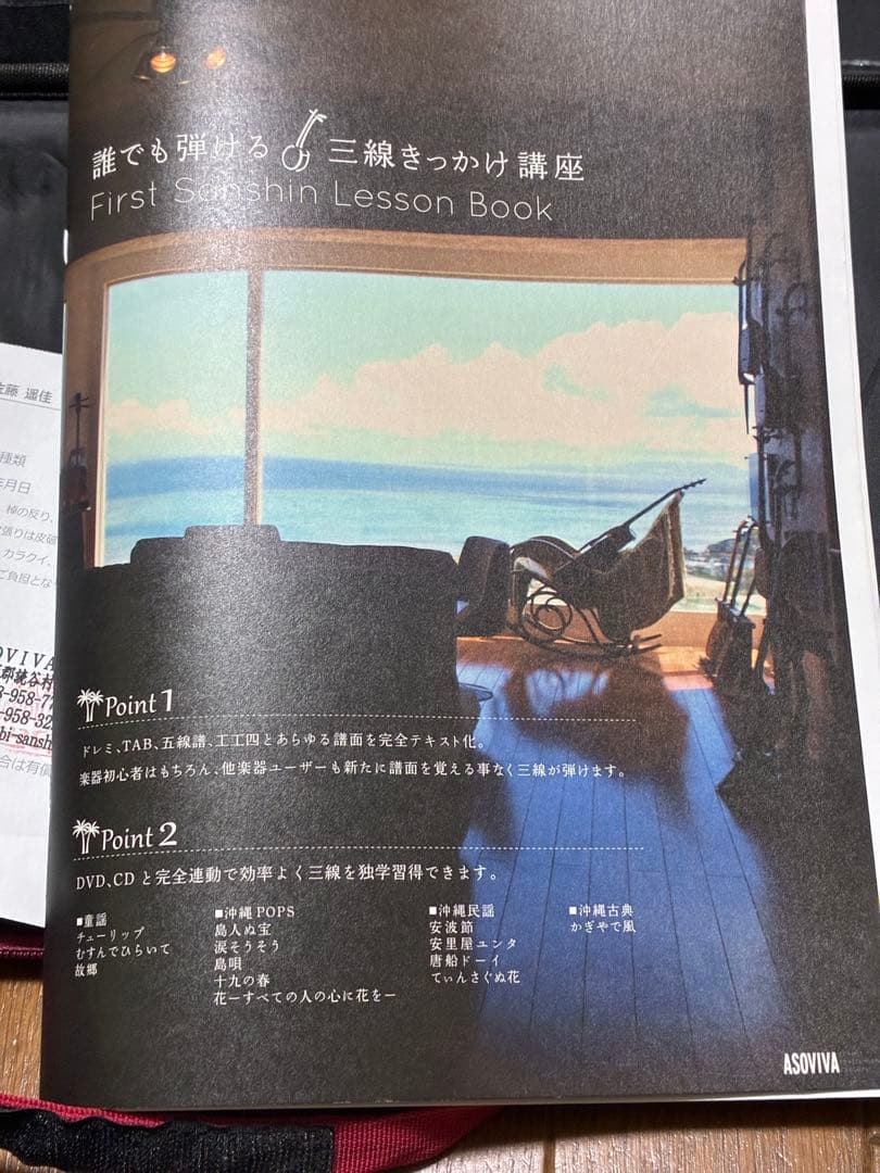 三線本体 ヘビ柄 ケース付き