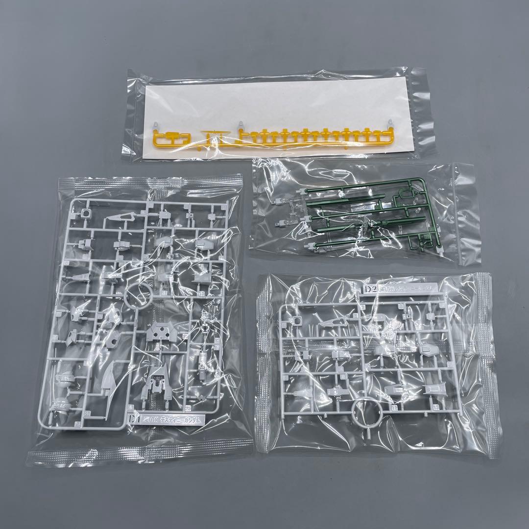 RG デスティニーガンダム チタニウムフィニッシュ & 光の翼