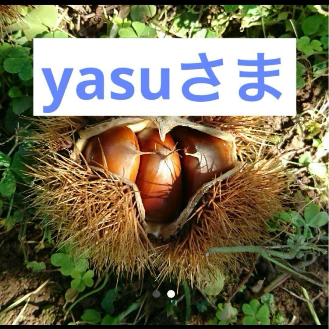 yasu さま売約済み　10kg 笠間の和栗☆生栗☆栗