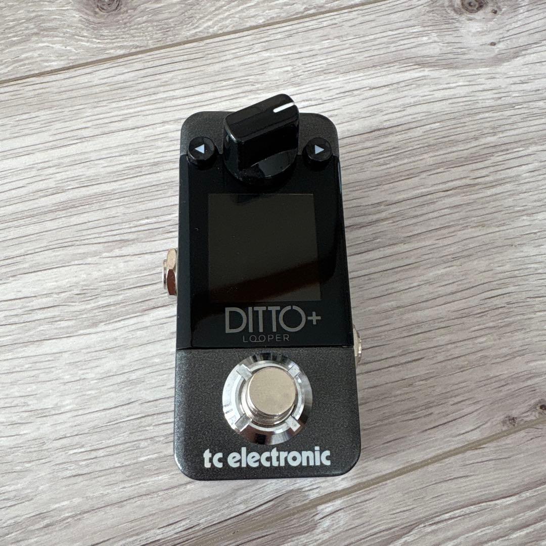 ギター tc electronic DITTO+ Looper
