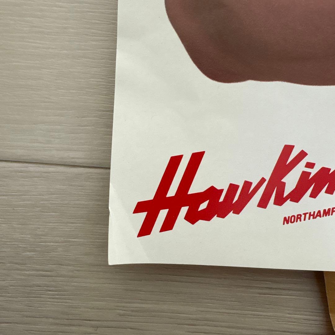 大塚寧々 Hawkins ポスター ホーキンス