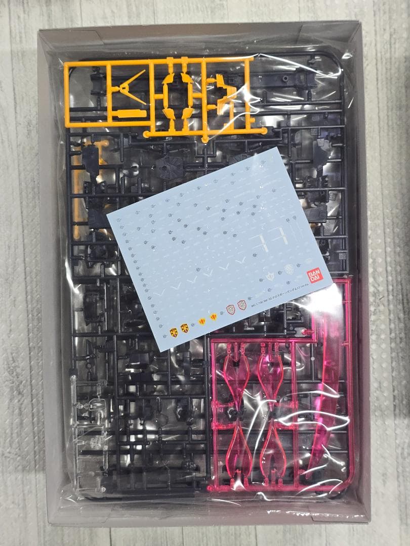 MG 1/100 クロスボーンガンダムX2 Ver.Ka