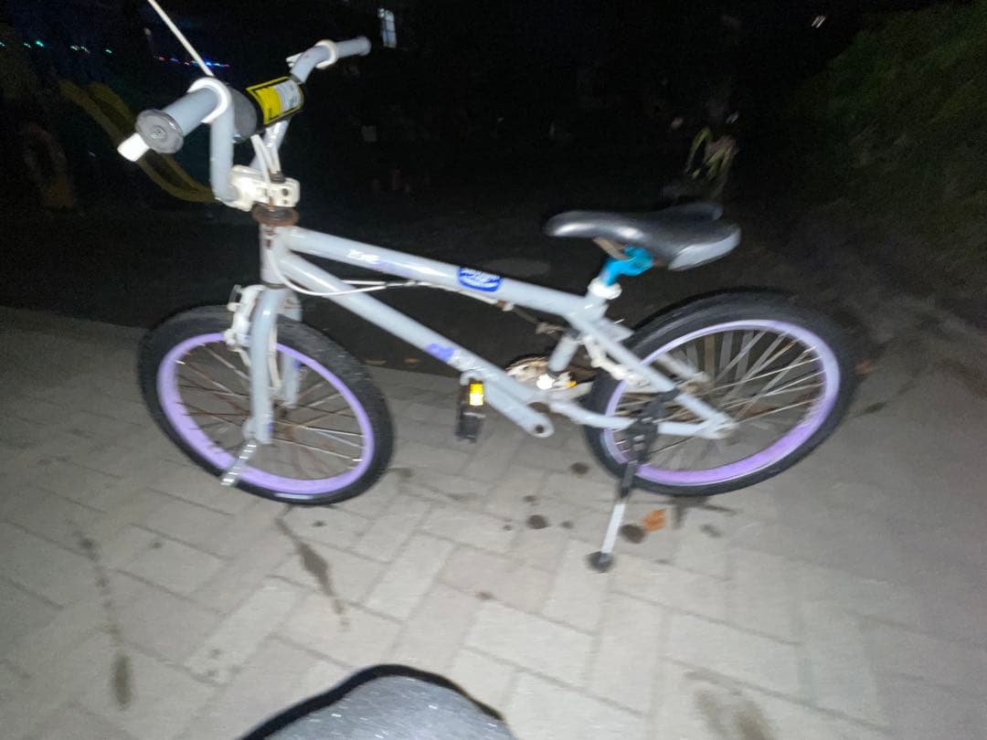 即乗り　GT bikes est74 20インチ bmx 横浜発