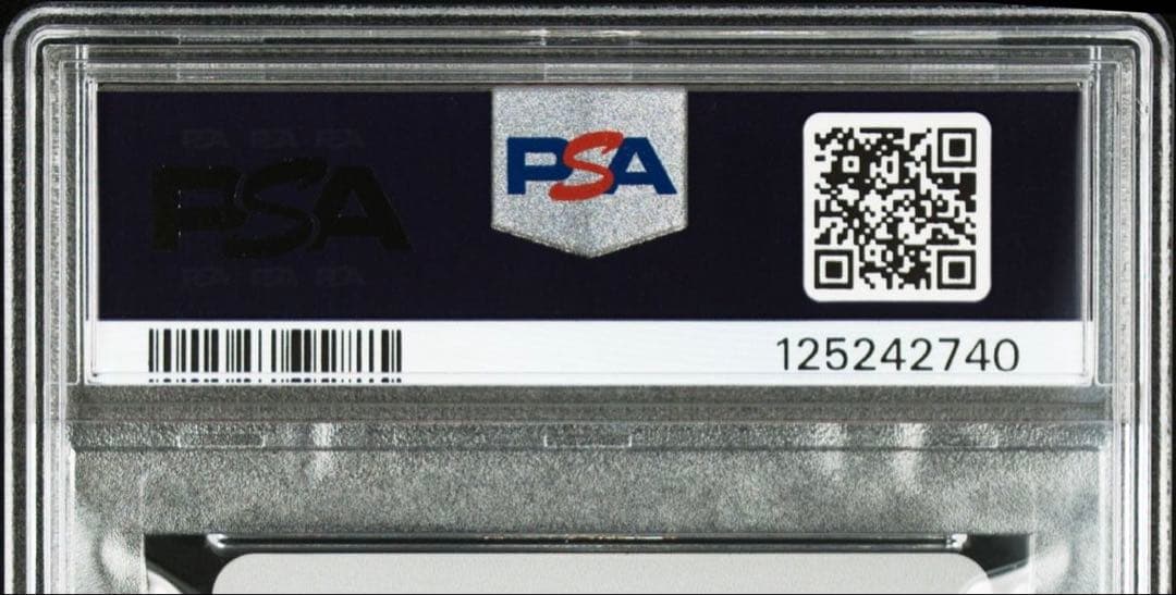 【PSA10】ストリートファイターII MOVIE ゲーメスト前売り券特典カード