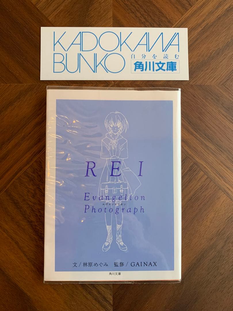 ⭐️エヴァンゲリオン　フォトグラフ　REI
