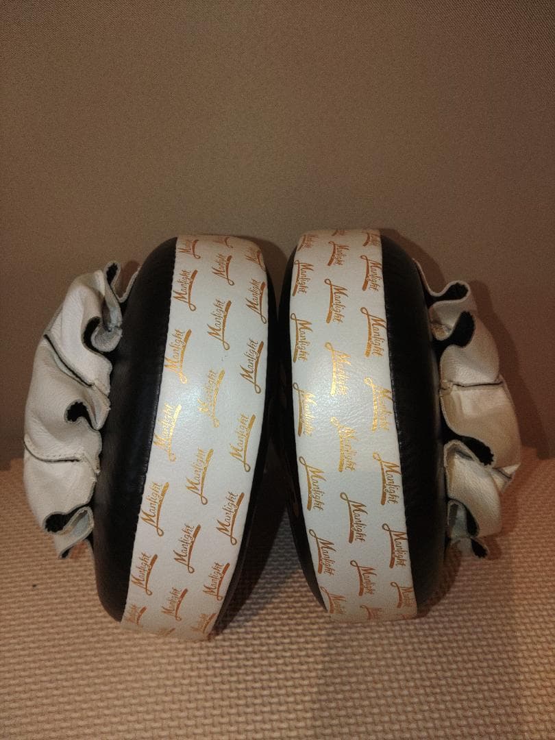 【未使用】Man Fight パンチングミット