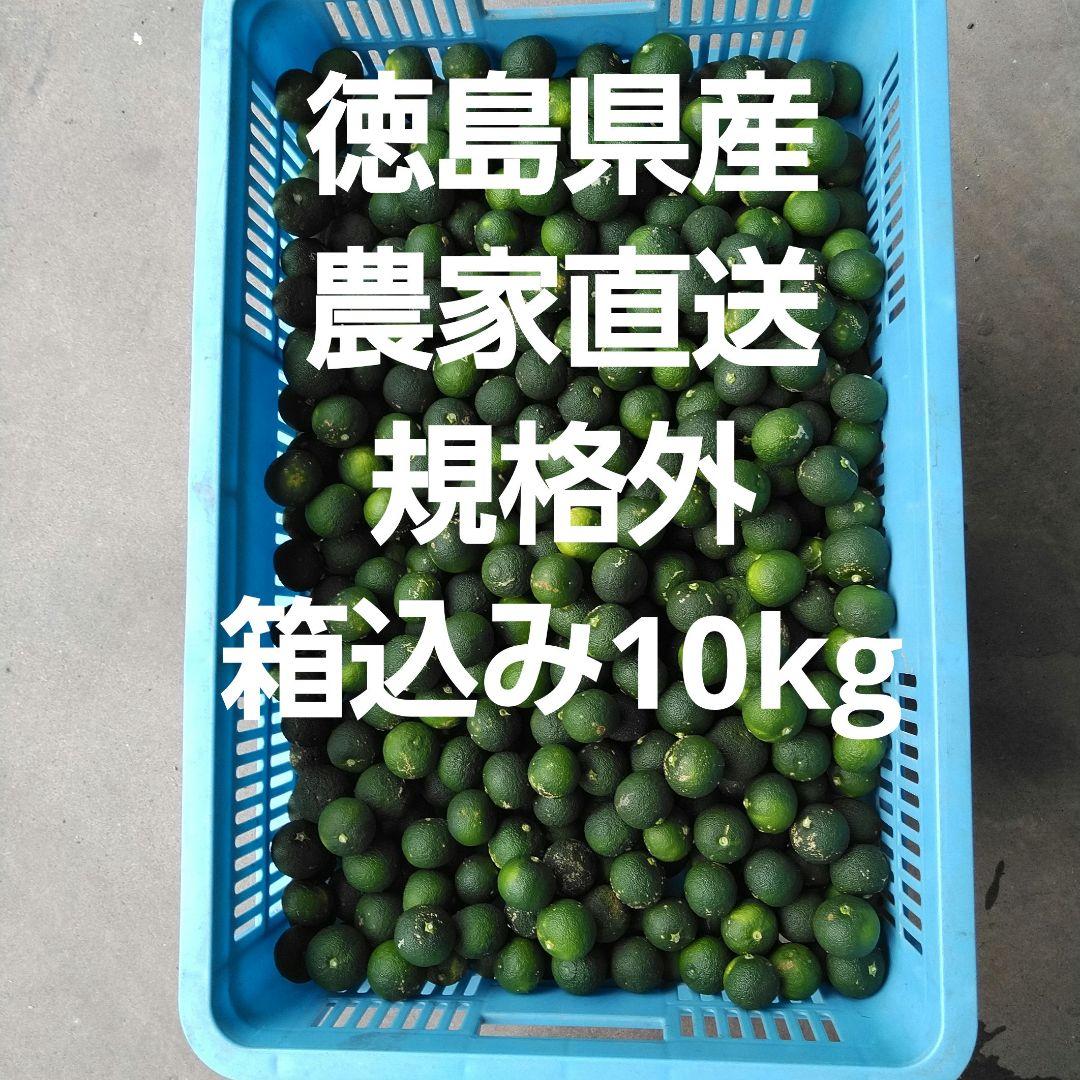 露地スダチ(二級品) 箱込み10kg