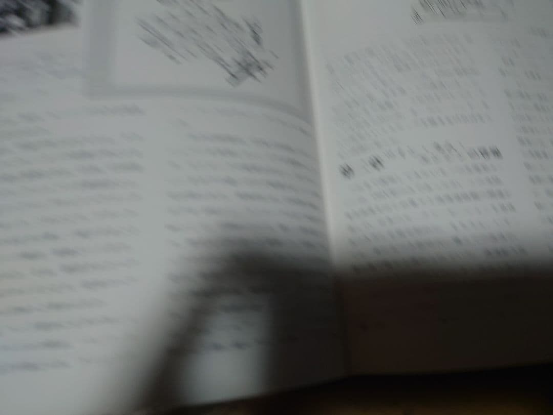 イスズ117/ピアッツァベレット 歴史と構造他