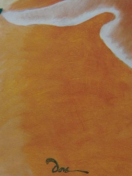 Dove、Lake Afternoon、希少画集画、新品額付