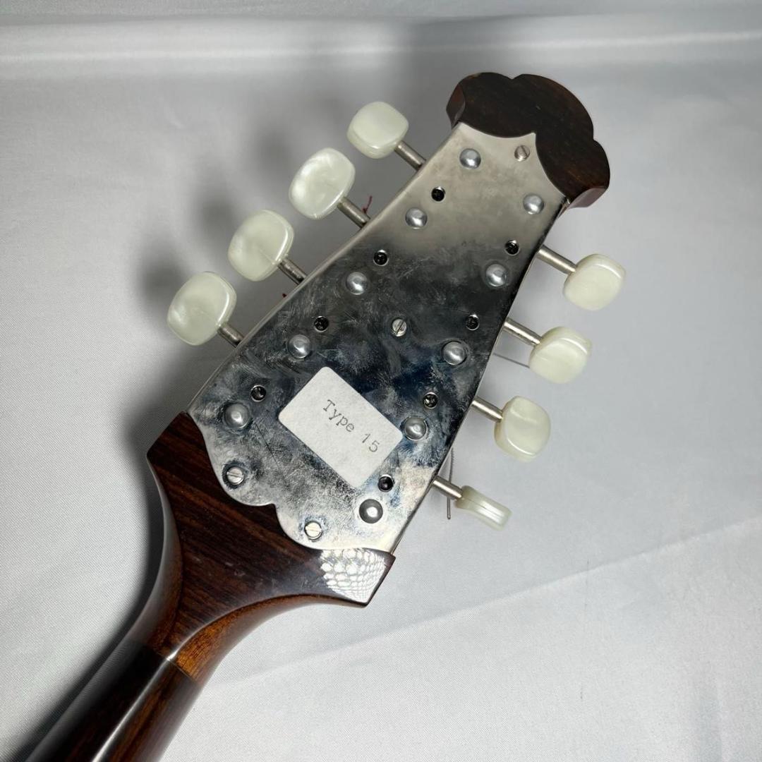 マンドリン　ラファエレ・カラーチェ Type15 raffaele calace
