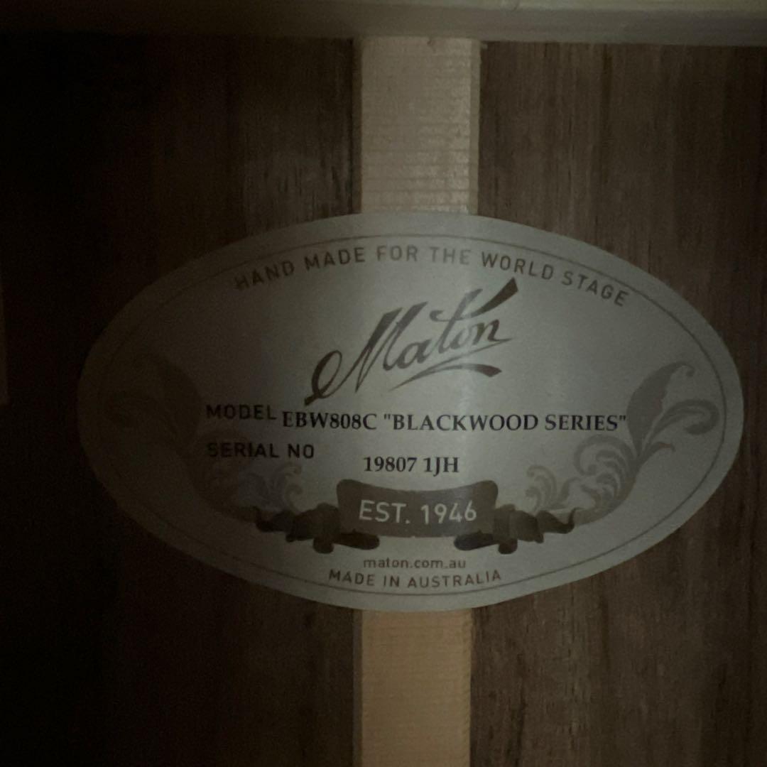 Maton メイトン EBW808C 中古