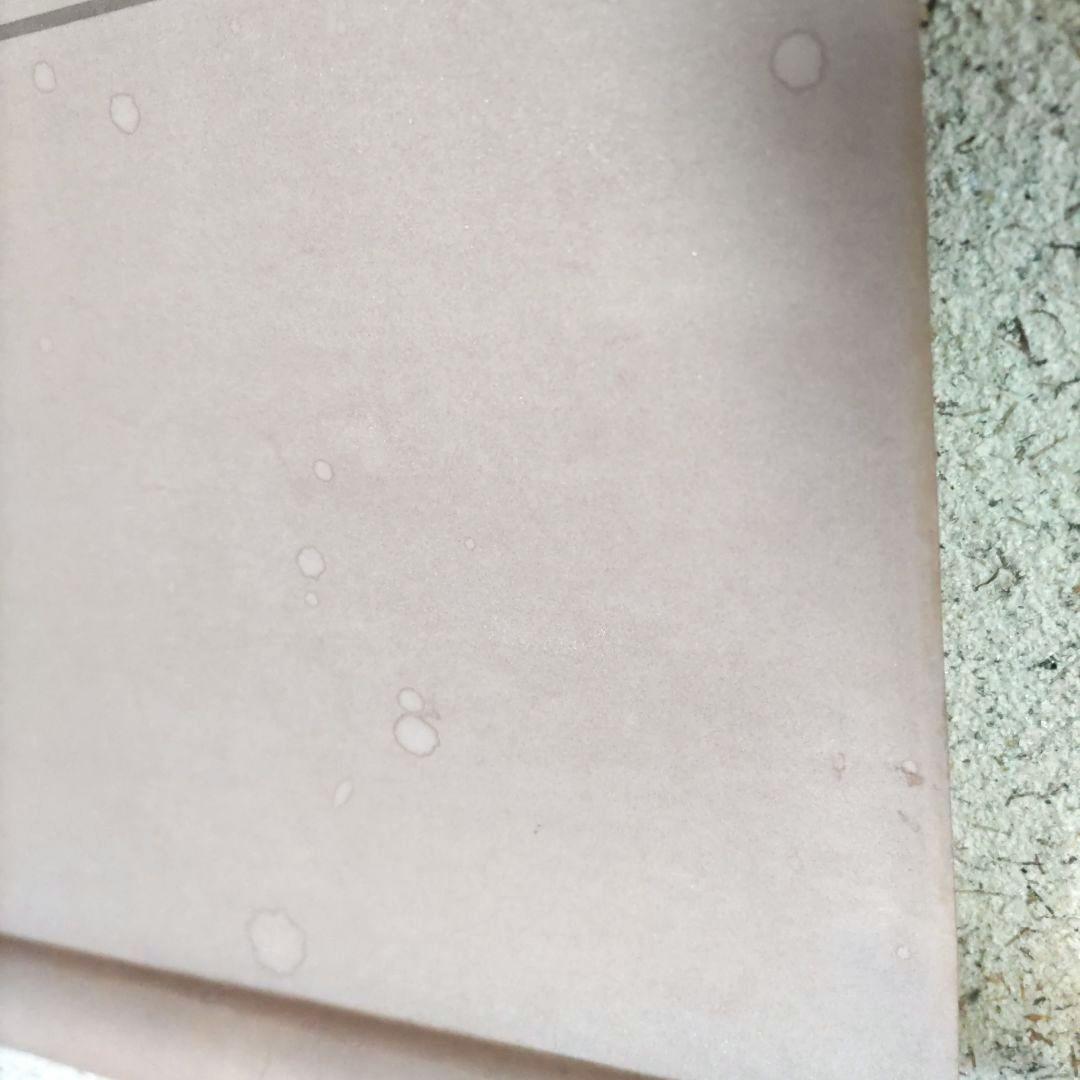 糟谷磯丸　書掛軸　H74