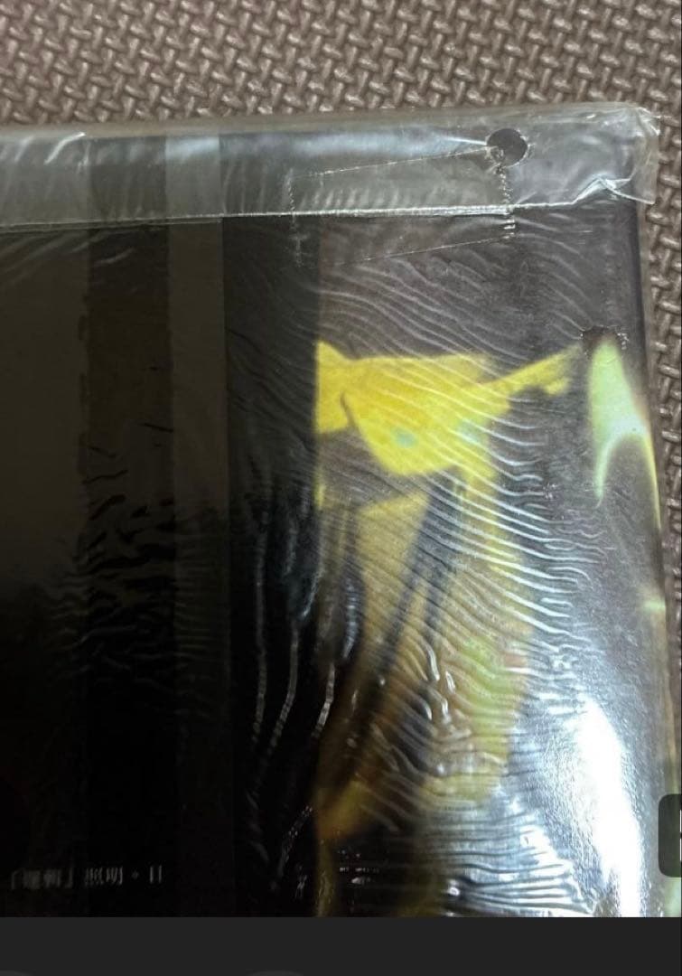 ‼️超希少‼️春光乍洩ブエノスアイレス撮影手記写真集レスリー・チャン/トニー・レオン