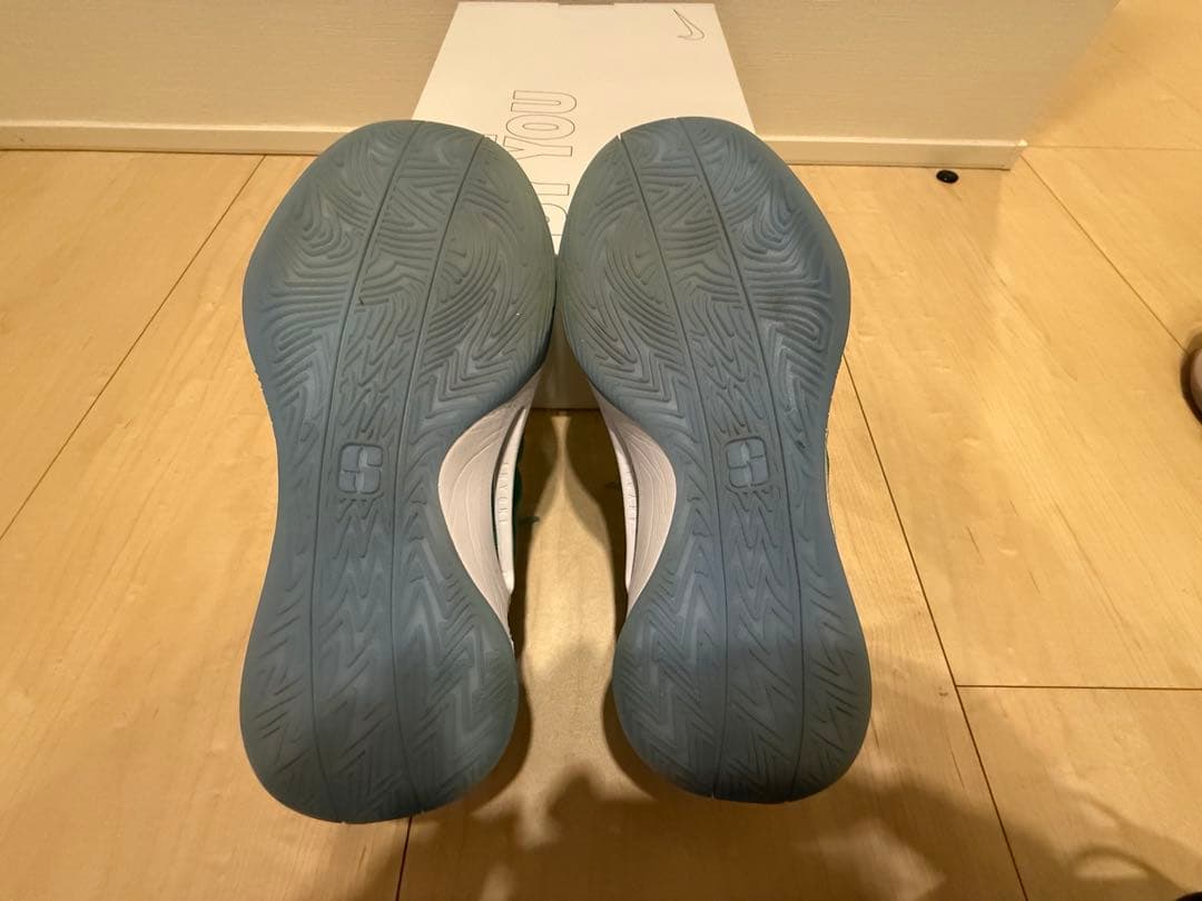 シューズ(男性用) Sabrina1 28cm (Nike By you)