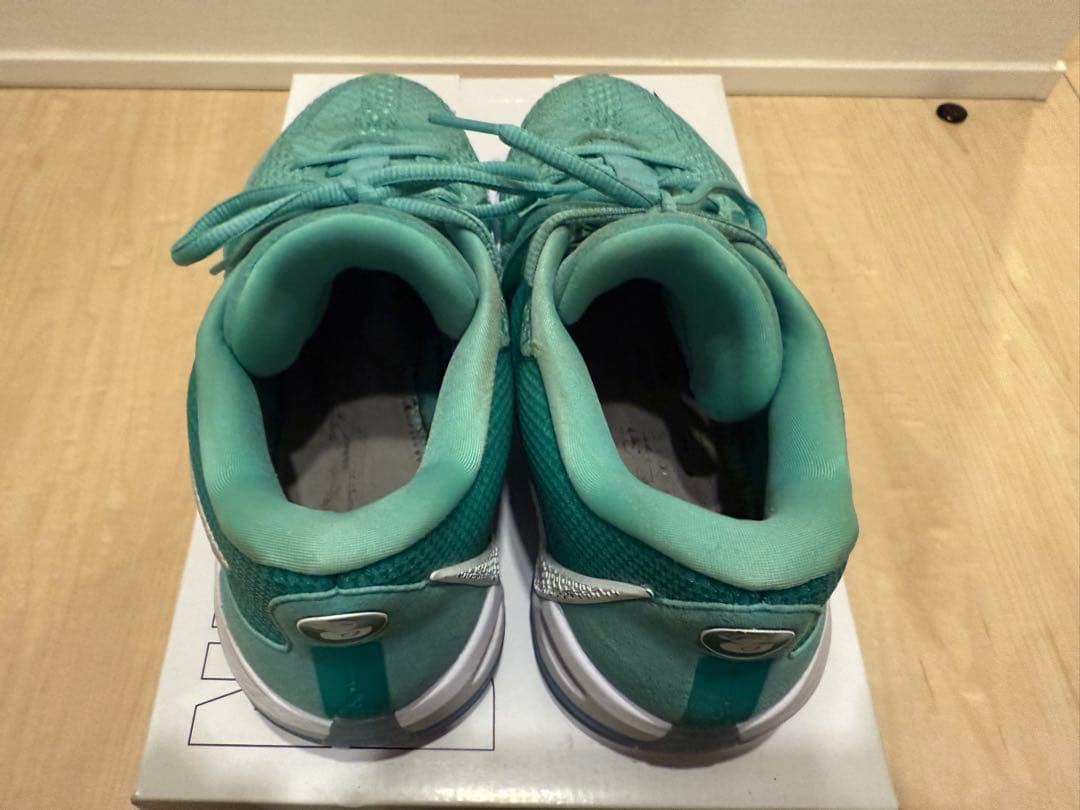 シューズ(男性用) Sabrina1 28cm (Nike By you)