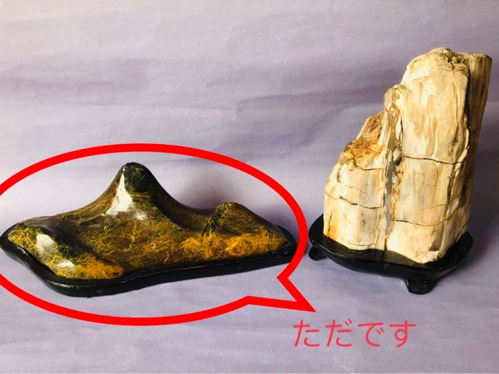 木化石（重さ2120克）珪化木鑑賞石 景石 天然石 台付き 銘石 （2点セット）