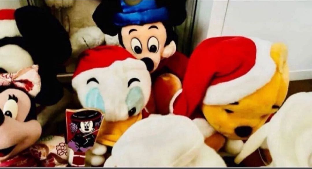 ディズニーランド　ぬいぐるみ 14体　レア　90年代