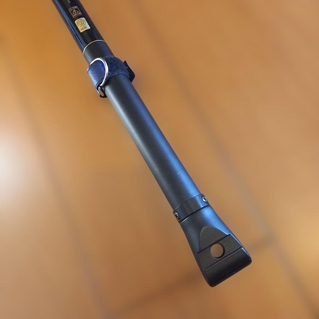 ダイワ 大鯉専科 MH53遠投 スピニングロッド