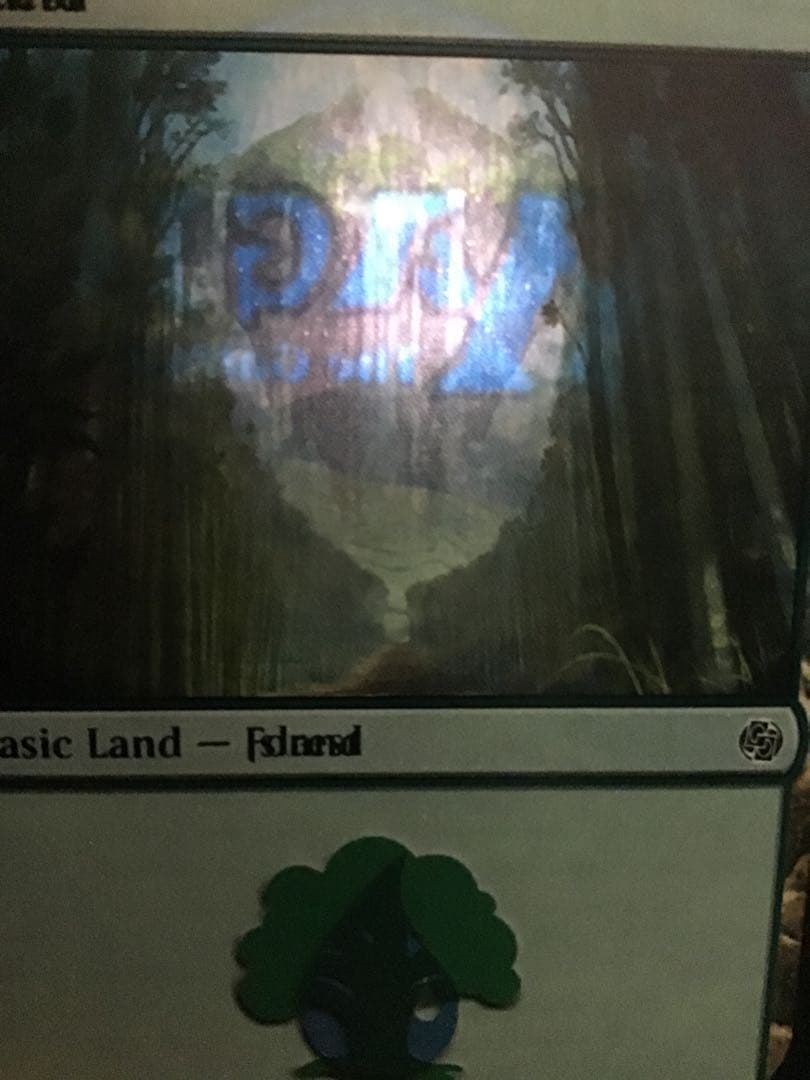 MTG エラーカード　1枚　島　森　メルカリ限定出品