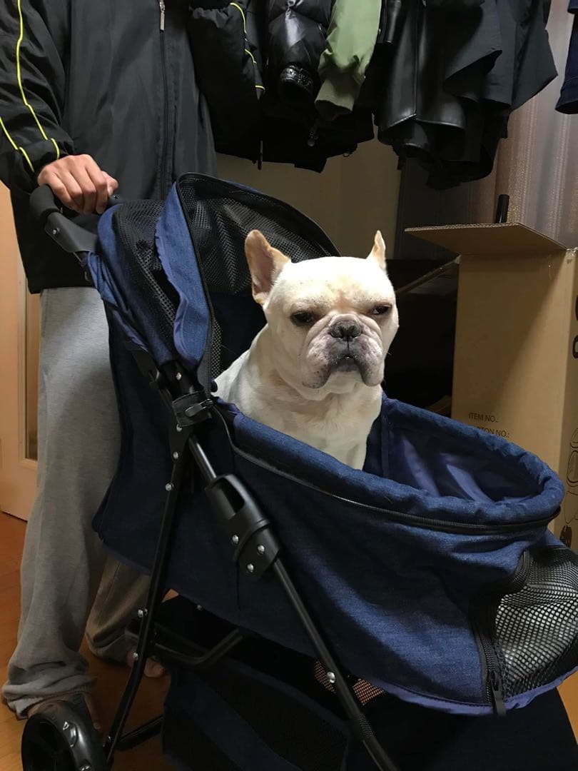 Cocoheart ココハート 甘えん坊バギー ペットカート