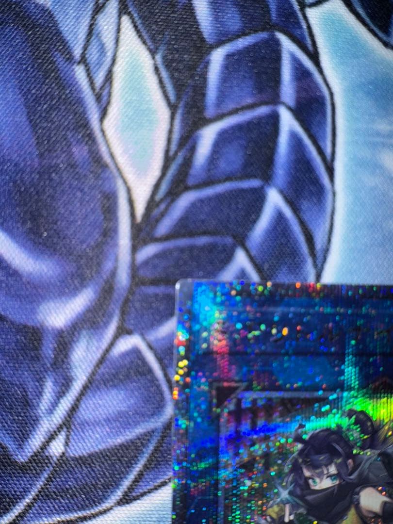 遊戯王　SP リトルナイト　25th QC