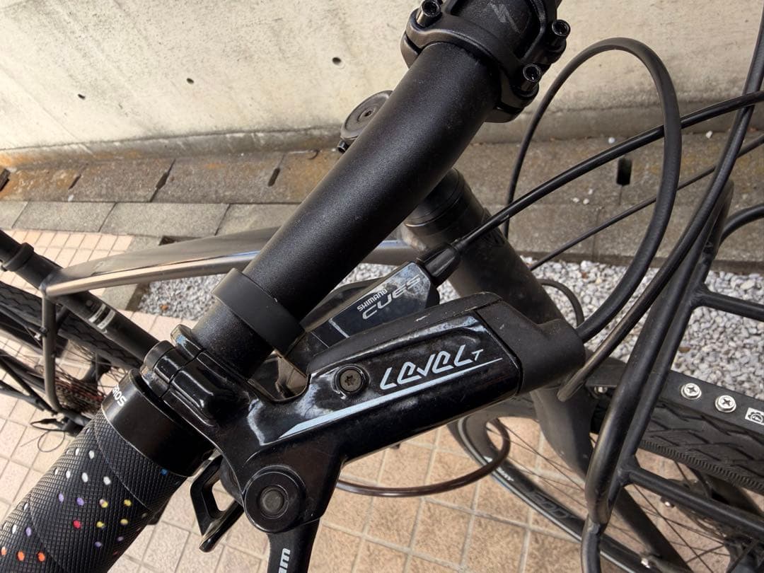 (値下げ中,2/8まで)Trek FX3 2020 (L) カストム