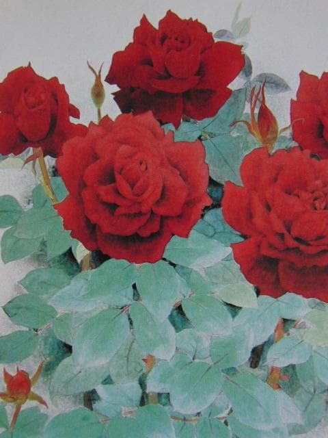 那波多目功一、【ばら】、希少な額装用画集より、新品額装付、状態良好