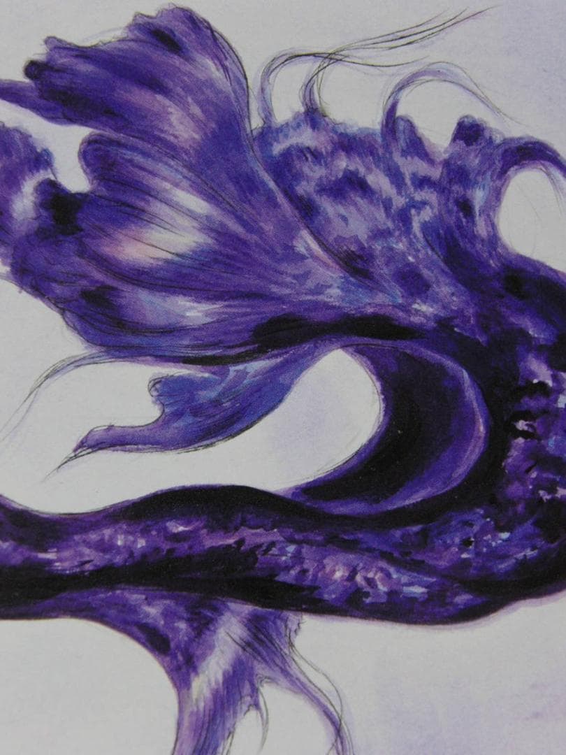 天野喜孝、【La nebbia violetto】、希少な額装用画集より