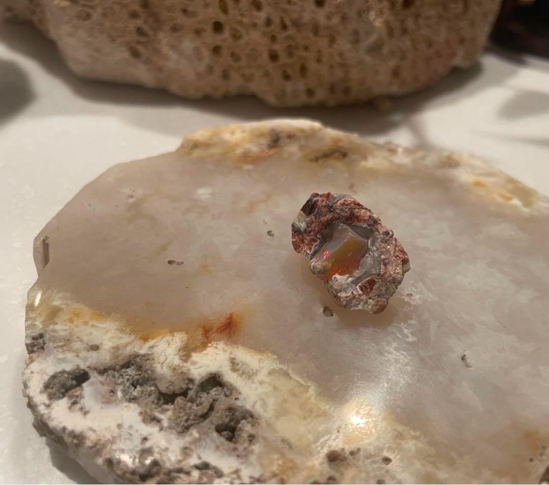 鉱物 : ファイヤーオパール　原石