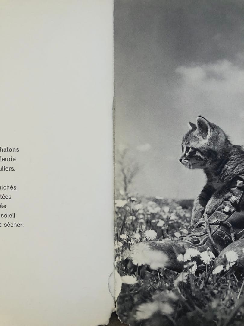 ロベール•ドアノー 1,2,3,4,5 Robert Doisneau 写真集