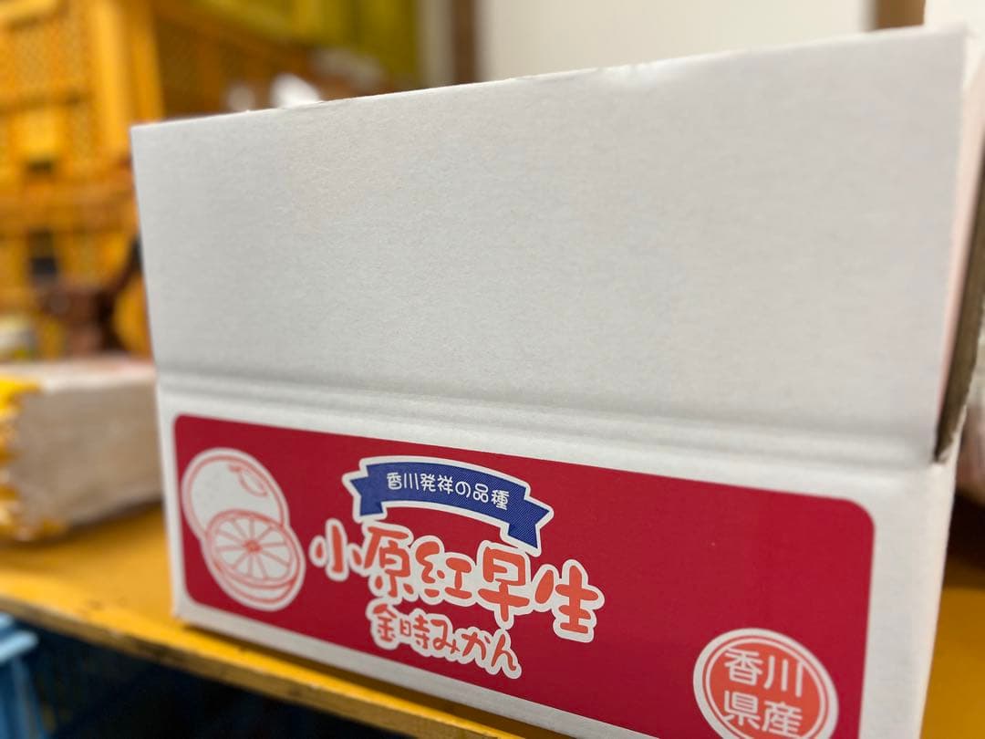 小原紅早生みかん 産地直送 坂出市産　新鮮　ひと冬大量20kg