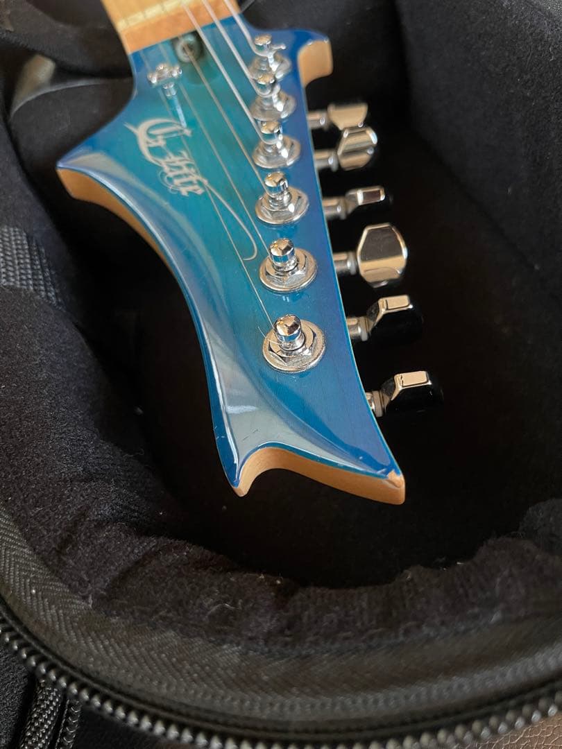 【激レア】G-Life Guitars DSG Classic ロイヤルブルー