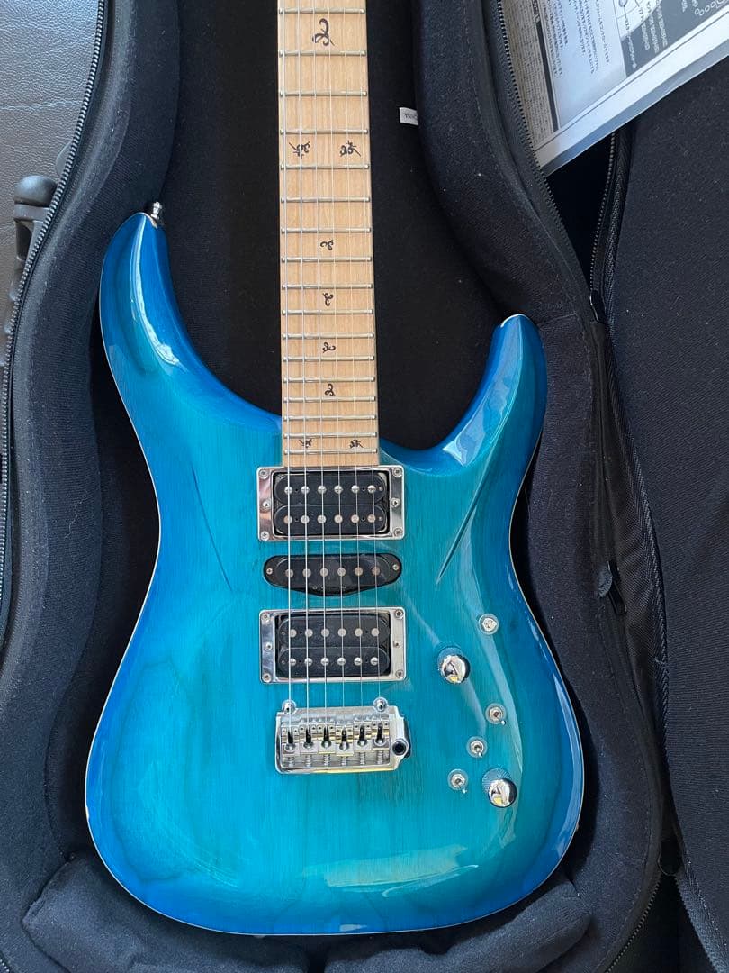 【激レア】G-Life Guitars DSG Classic ロイヤルブルー